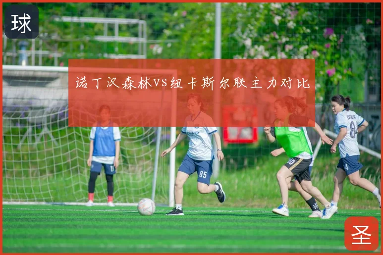 诺丁汉森林vs纽卡斯尔联主力对比